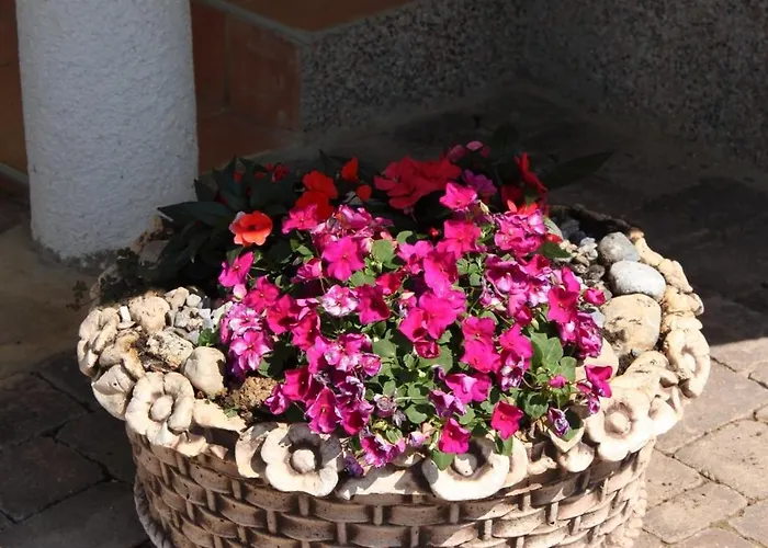 6606b Апартаменты *